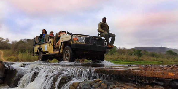 Amakhosi Safari Lodge