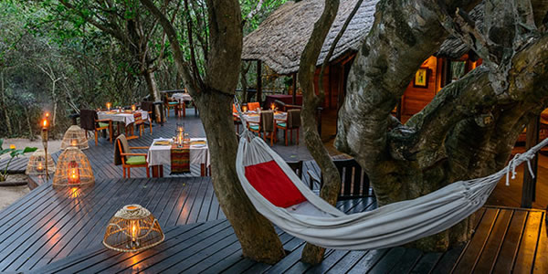 Kosi Forest Lodge