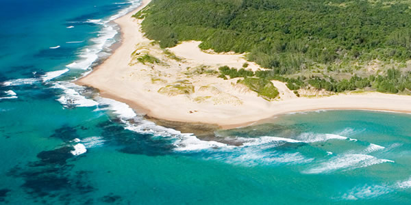 Rocktail Beach Camp