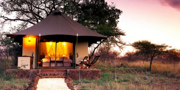 White Elephant Safari Lodge